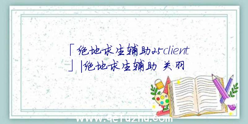 「绝地求生辅助25client」|绝地求生辅助